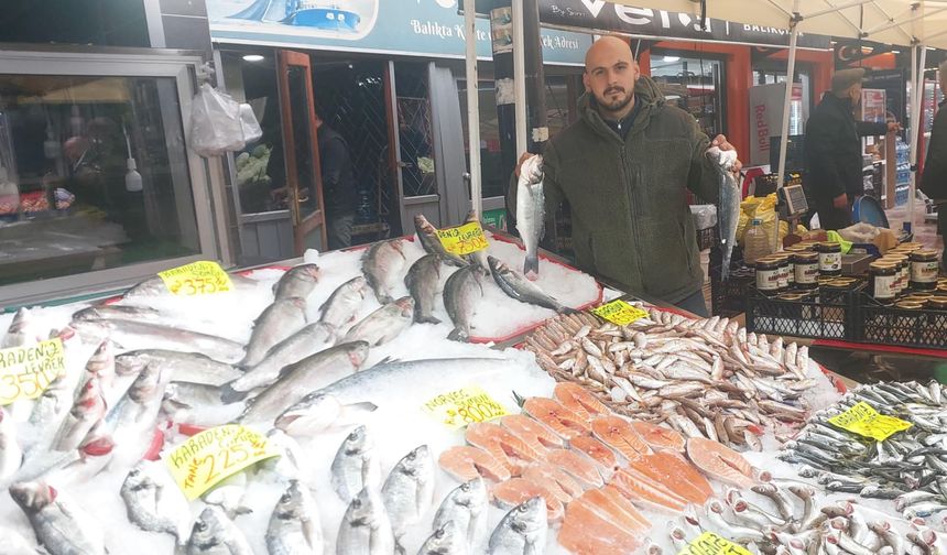 Salı Pazarı'nda balık tezgahları hareketli: Favori ise hamsi!