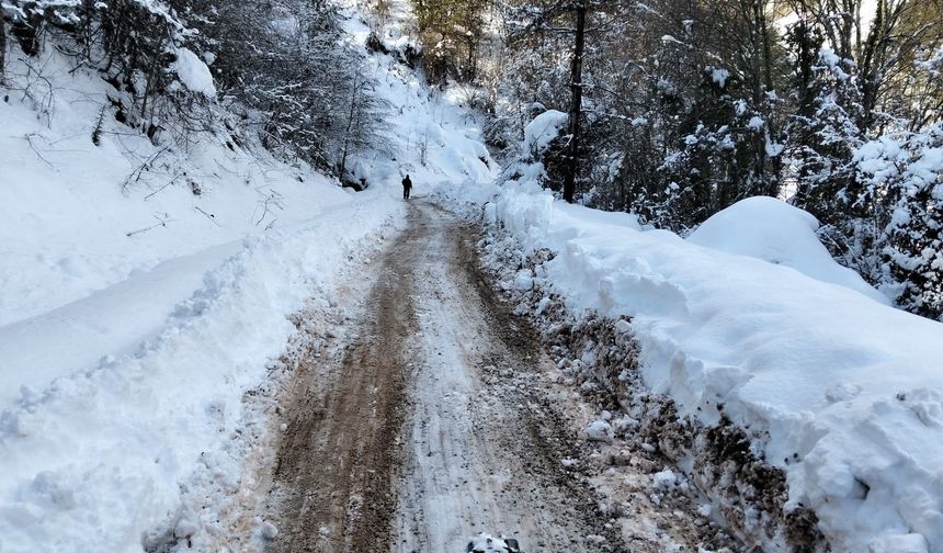 İGM Üyesi Gün: Cide’de açılmadık yol kalmayacak