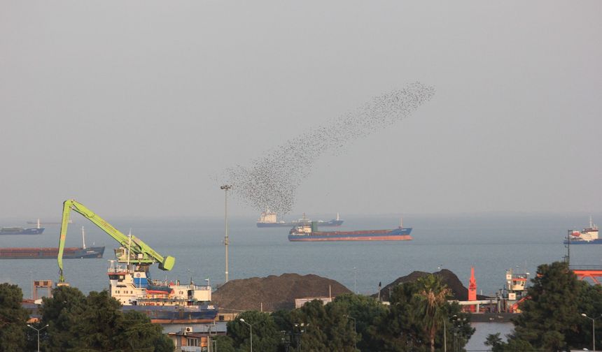 Orta Karadeniz’in ihracat gücünde Kastamonu da pay sahibi