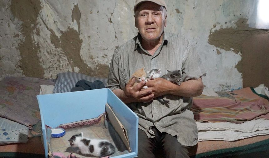Kastamonulu 'kedilerin babası' öldü, 36 can yetim kaldı