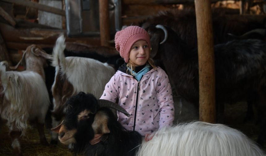 Alpler’in Heidi’si değil Devrekani’nin Ceyda’sı…