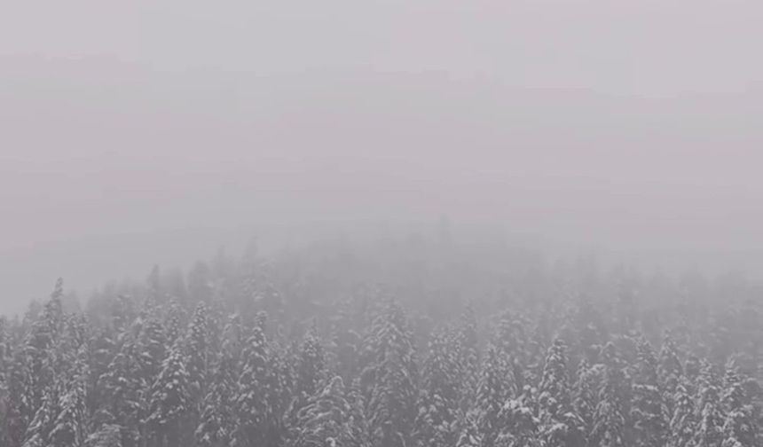 Kastamonu - Çankırı sınırındaki Ilgaz Dağı'na kar yağdı