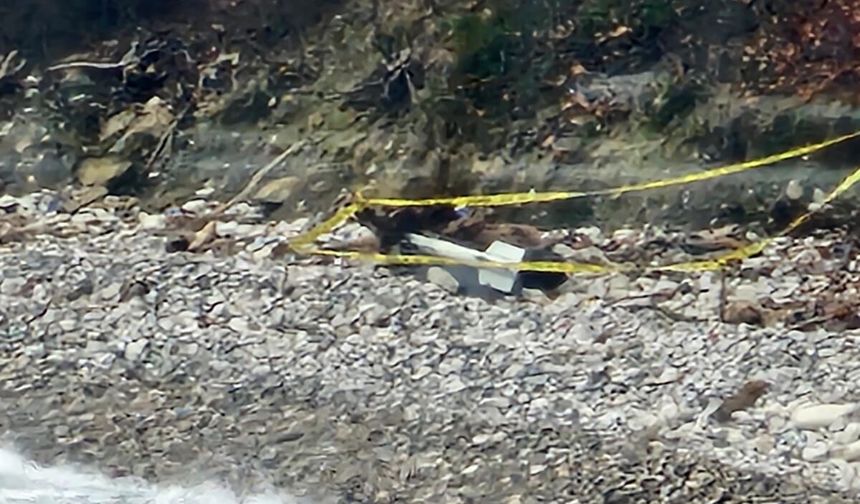 Karadeniz’de kıyıya vuran şüpheli cisim korku yarattı