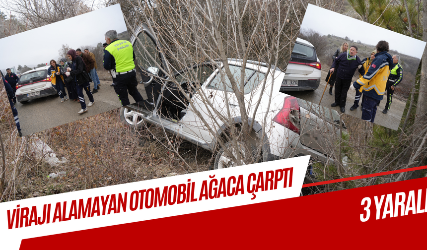 Kastamonu'da virajı alamayan otomobil ağaca çarptı: 3 yaralı