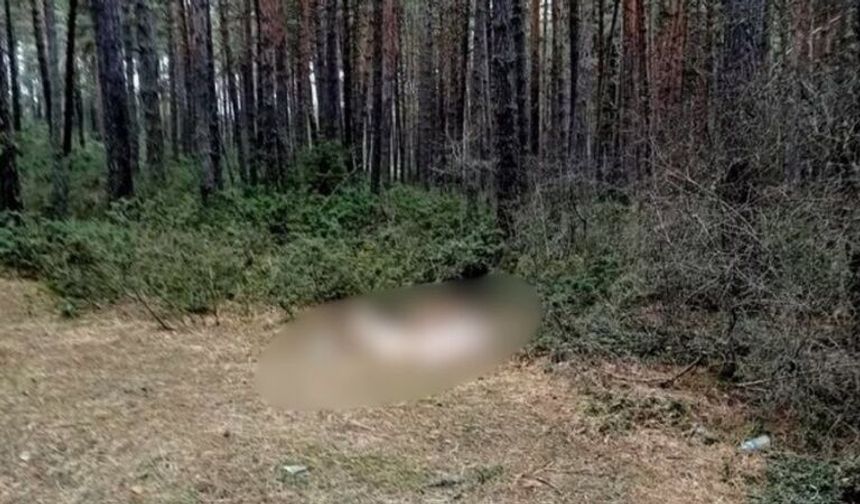 Ölülerini dağa attılar