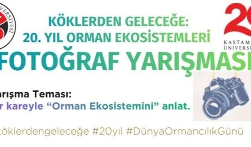 Kastamonu’da orman için objektifler devrede