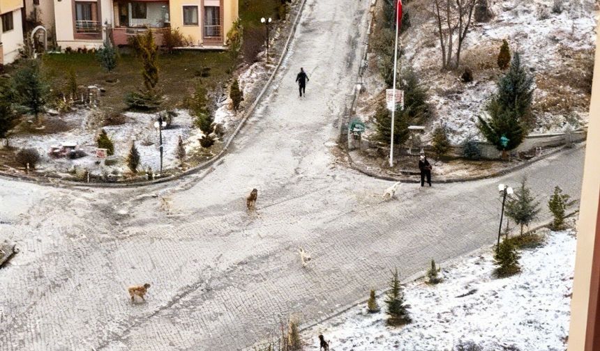 Kastamonu’da korku dolu sabah: Canını zor kurtardı!