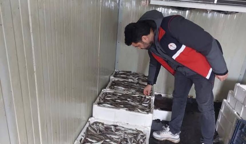 Çatalzeytin’de su ürünleri denetimleri sürüyor