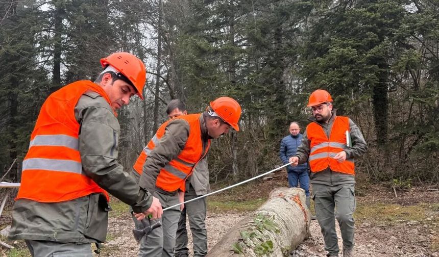 Cide’de orman emvali eğitimi verildi