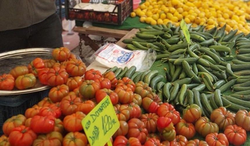 Domates ve biber rekora koşuyor