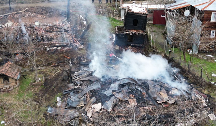 Sobadan çıkan yangın iki ev ve bir ambarı kül etti