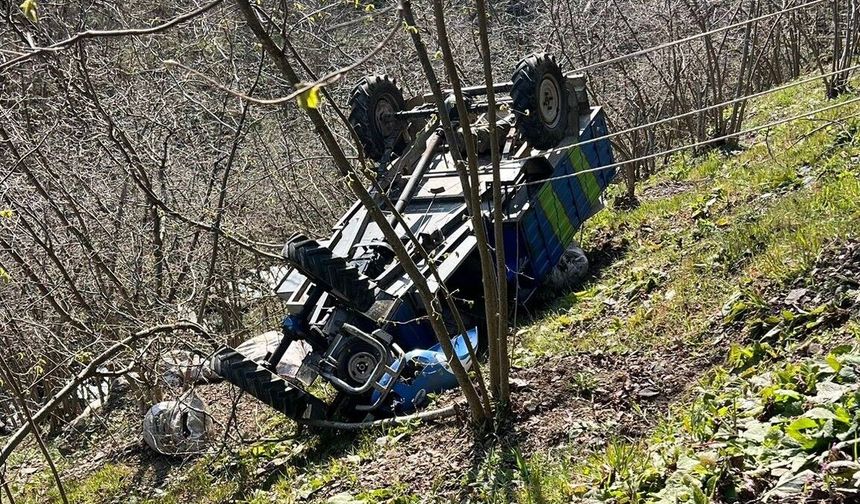 Köpekler yola çıktı, patpat şarampole devrildi!