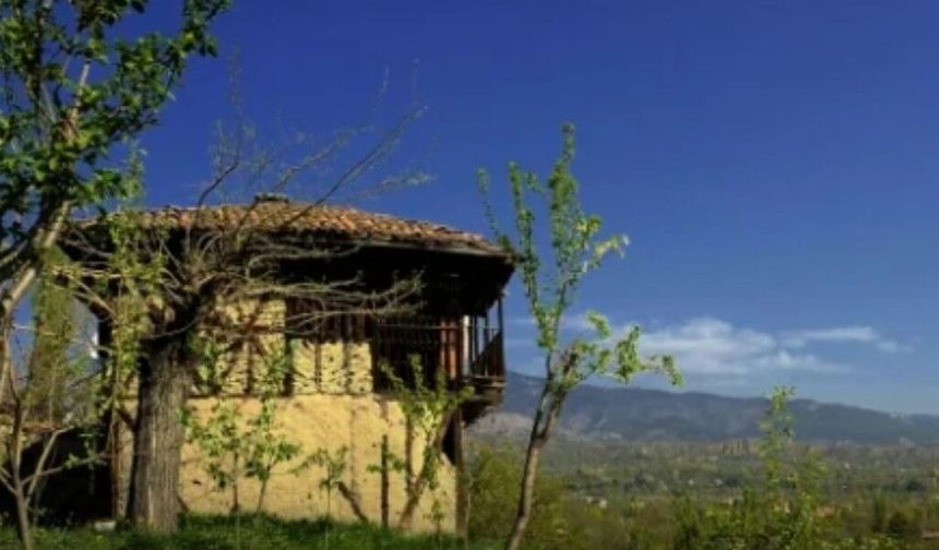 Tosya'da bağ ve bahçelere şerh iddiası tartışma yarattı