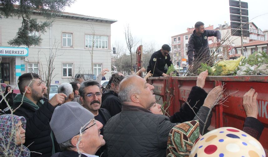 Kastamonu'da dağıtılan 12 bin fidan kapış kapış gitti