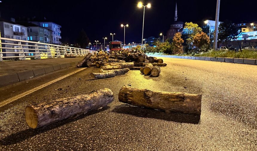 Kastamonu yolunda korkutan anlar: Odunlar yola saçıldı!