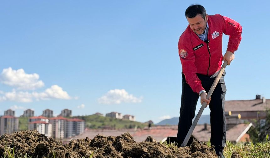 Kastamonulu Belediye Başkanı bademin karşılığını emeğiyle ödedi