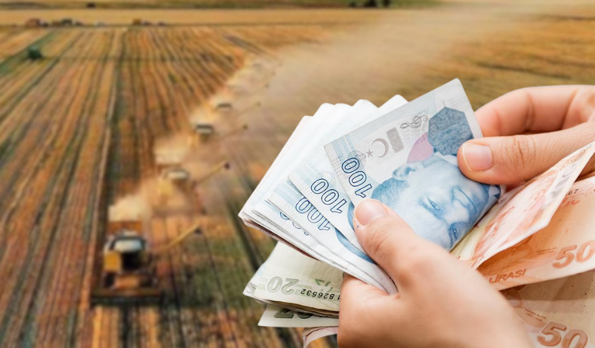 Bitkisel üretimde Kastamonu’ya 290 milyon TL destek