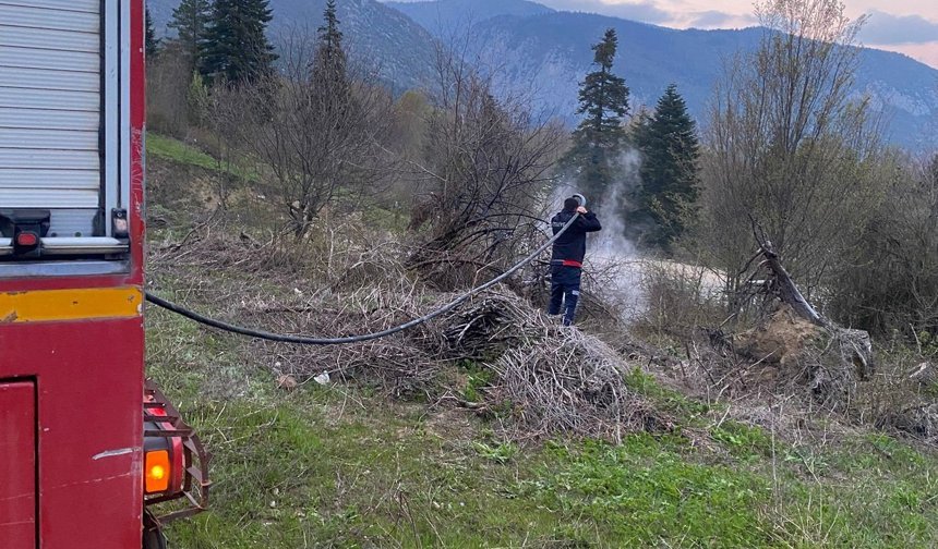 Cide’de ormanlık alandan alevler yükseldi