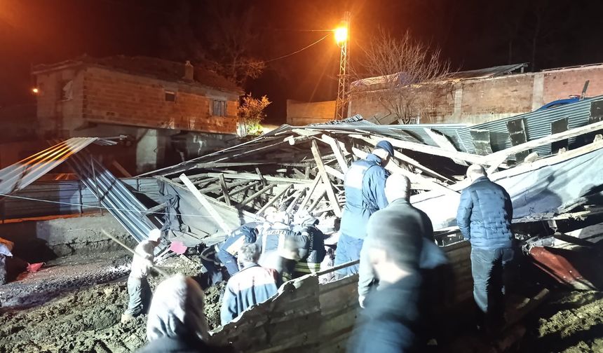 Fırtına ahırı çökertti, 4 büyükbaş telef oldu