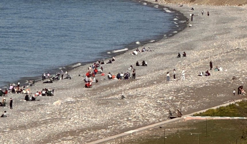 Güneşi gören sahile koştu