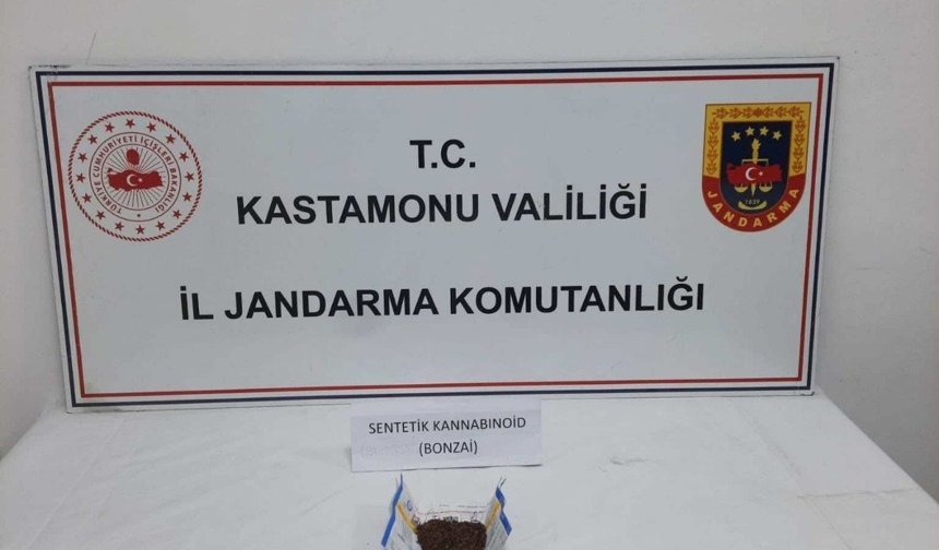 Kastamonu'da jandarmadan zehir operasyonu: 1 tutuklama