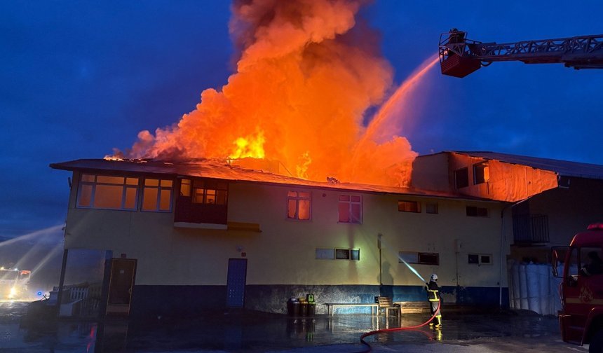Kastamonu’da korkutan fabrika yangını!