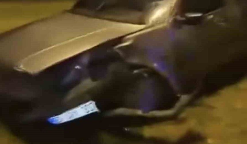 Trafik kazasında 2'si çocuk 5 kişi yaralandı