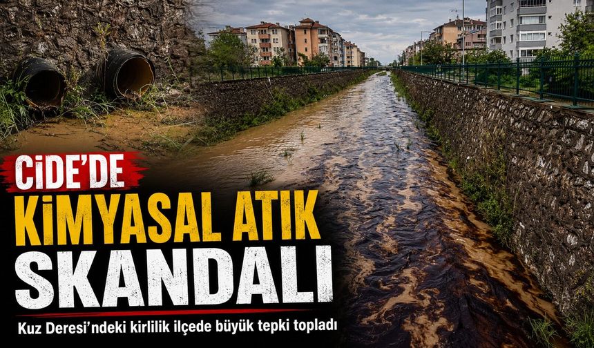 Cide deresine kimyasal atık verildi