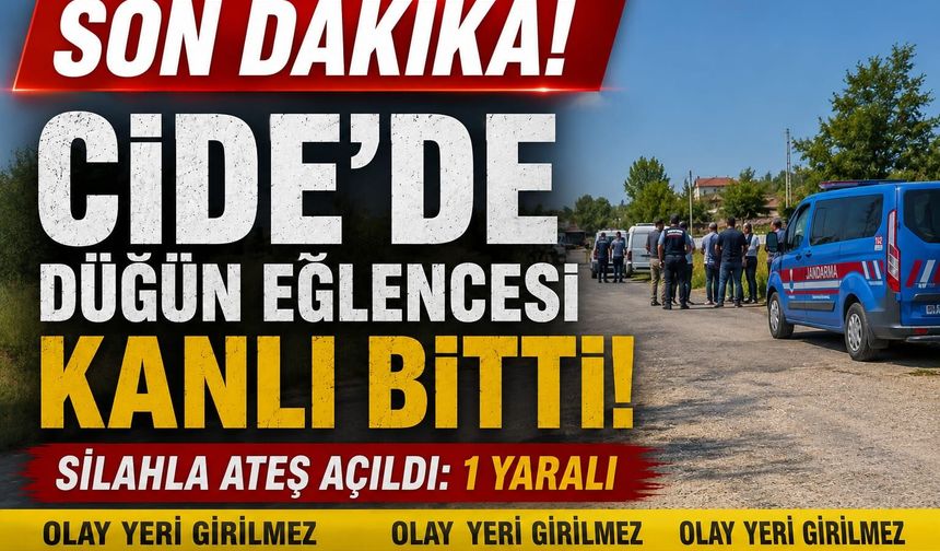 Cide’de düğün eğlencesi kanlı bitti