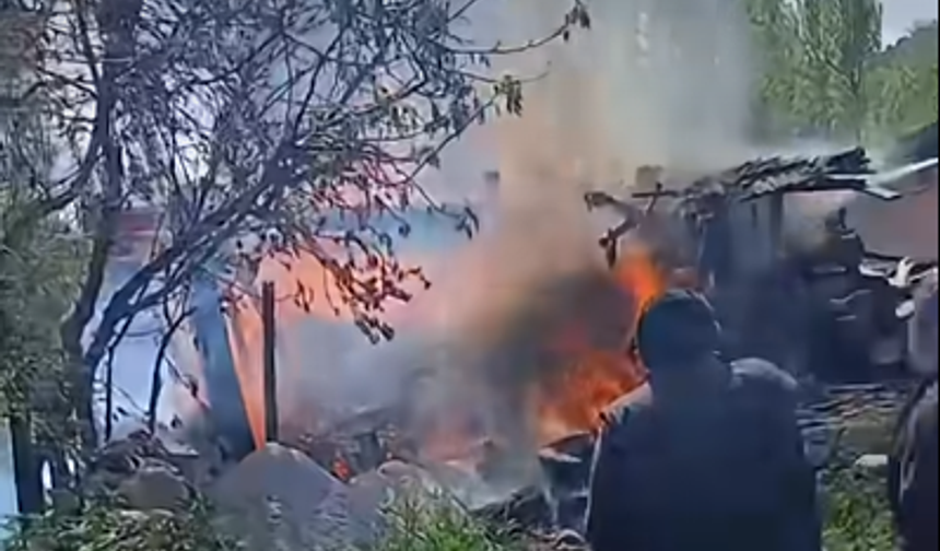 Kastamonu Tosya'da samanlık yangını