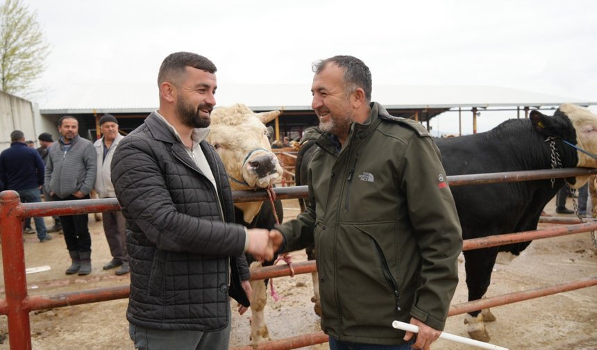 Kastamonu’da 850 kiloluk tosun 340 bin TL’ye satıldı
