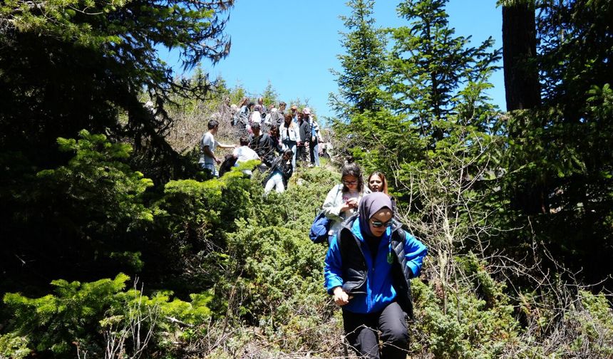Kastamonu’da gençler 19 Mayıs’ı yaylada kutladı