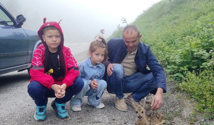 Kastamonu'da çocukların ısrarı yavru karacayı hayata bağladı