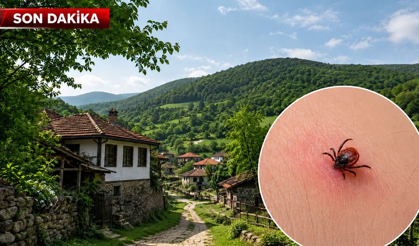 Kastamonu’da kene yapışan genç hastaneye kaldırıldı