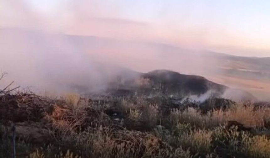 Kastamonu'da çöplük alan alevlere teslim oldu