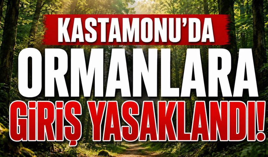 Kastamonu'da ormanlara giriş yasaklandı