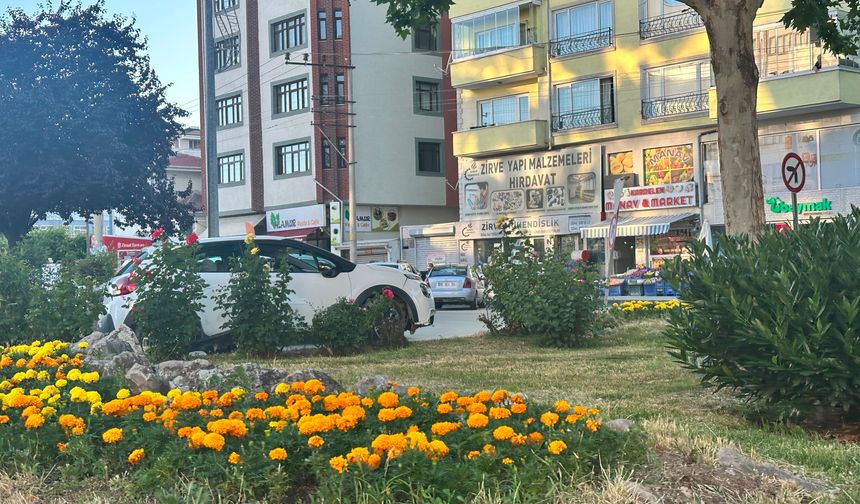 Kastamonu’daki trafik kazasında kaldırıma çarptı