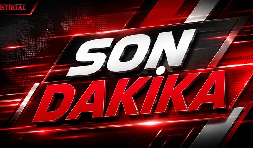 Kastamonu'da tomruk mesaisinde facia: 1 ölü