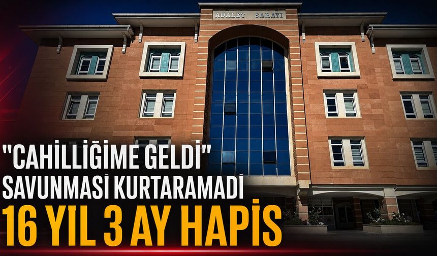 Kastamonu'da “cahilliğime geldi” savunması kurtaramadı