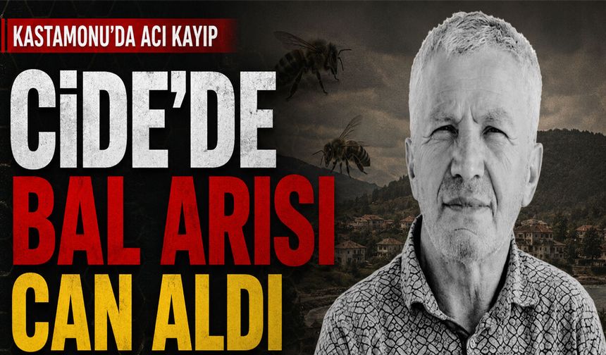 Cide’de bal arısı can aldı