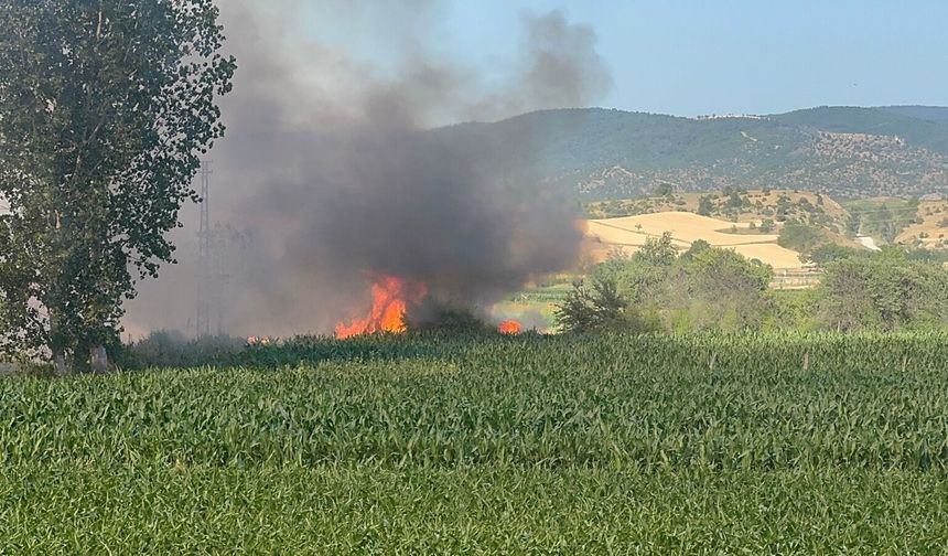 Kastamonu'da çıkan yangında çiftçinin emeği kül oldu