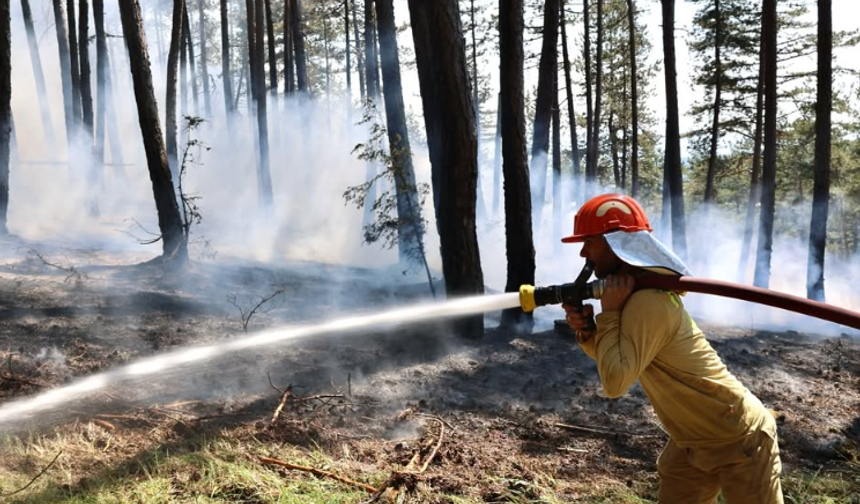 Kastamonu'da orman yangını: Ekiplerden hızlı müdahale!
