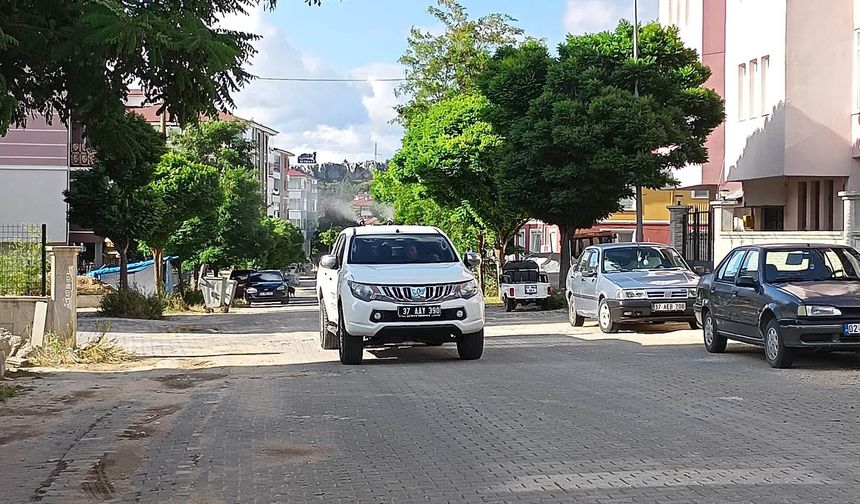 Seydiler’de haşereyle mücadele çalışmaları sürüyor