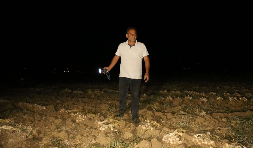 Taşköprü’de “beyaz altın” nöbeti