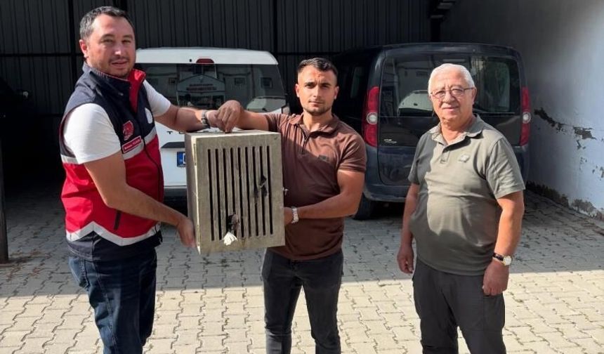 Yaralı halde bulunan leylek, koruma altına alındı