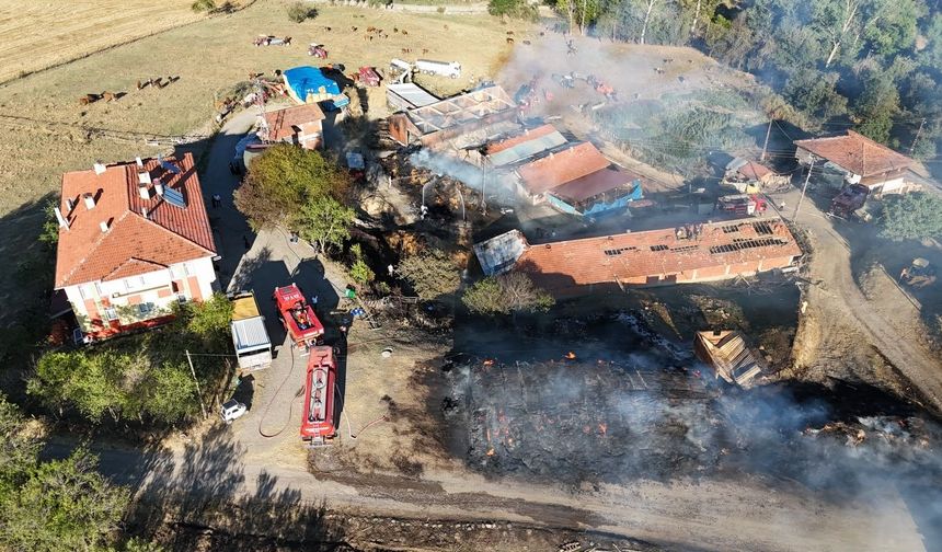 Kastamonu'da 14 büyükbaşın yitirildiği yangın söndürüldü