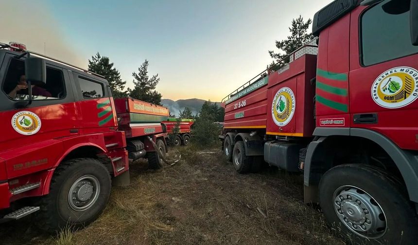 Taşköprü’de yangın bölgesinden yeniden duman yükseldi