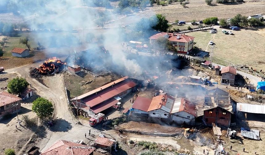 Kastamonu'daki samanlık yangınının bilançosu belli oldu