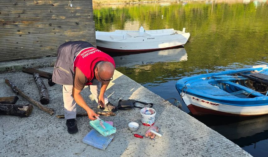 Kastamonu'da yasa dışı palamut avlayan 4 kişiye işlem