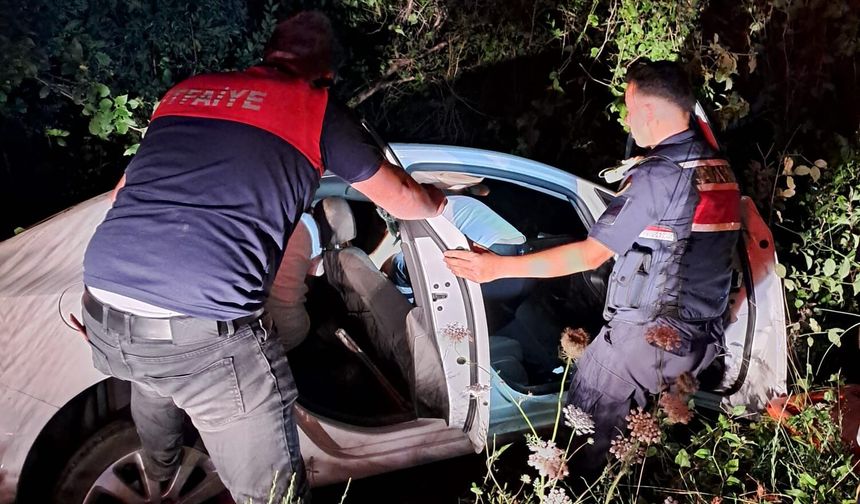 Cide'de virajı alamayan araç şarampole savruldu: 1 yaralı
